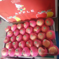 Factory Supply Fresh Red FUJI Apple